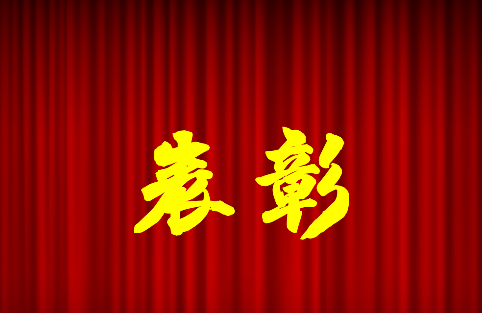 逐光前行、榮耀共鑒 | 公司2024年度表彰來啦！